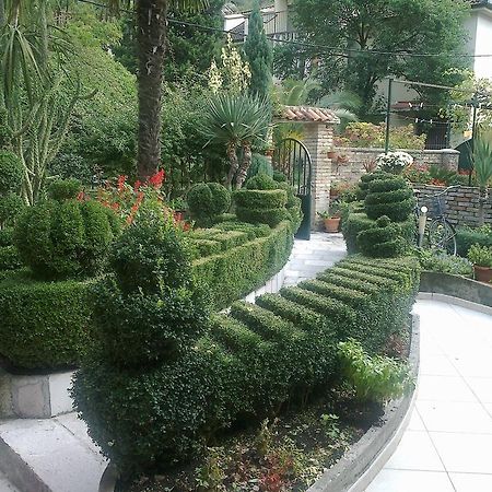 Apartment City Garden Kotor Pokój zdjęcie